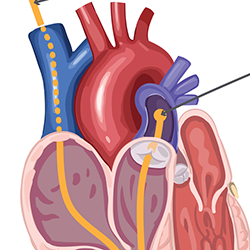 Medical/ Instructional
