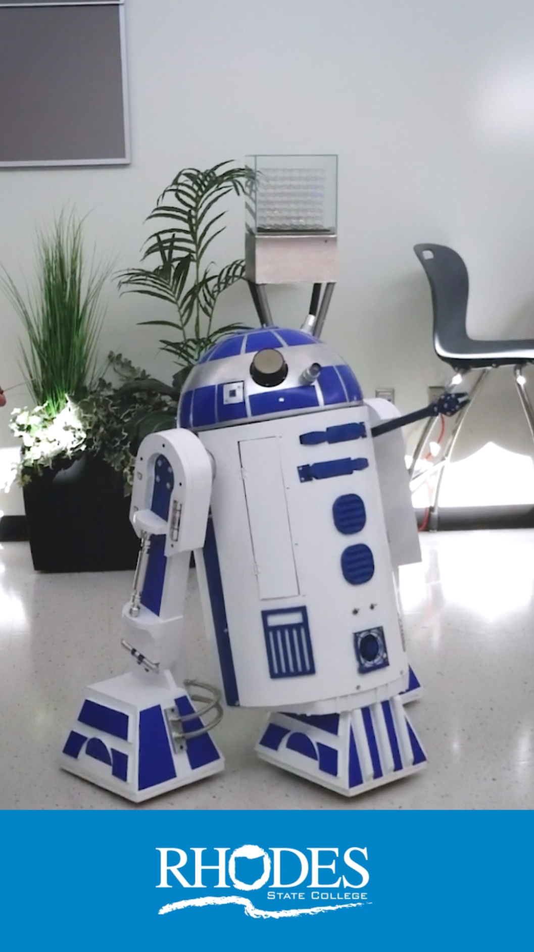 Multimedia & Social Video